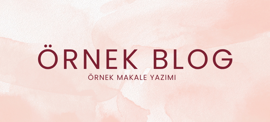 Örnek Blog 4 